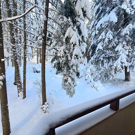 Forest Apartment/ Villa Park Borovets Exterior photo