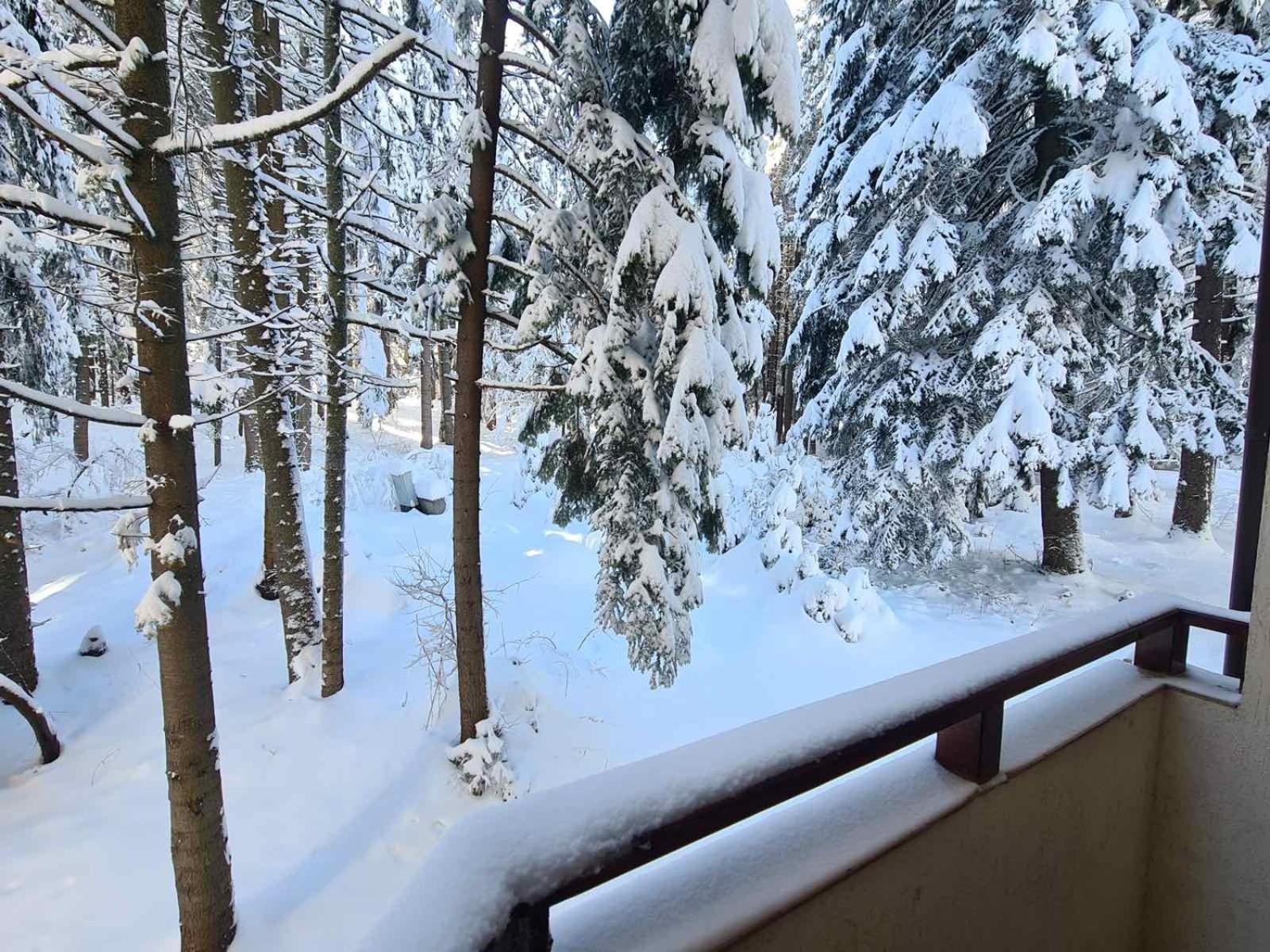 Forest Apartment/ Villa Park Borovets Exterior photo